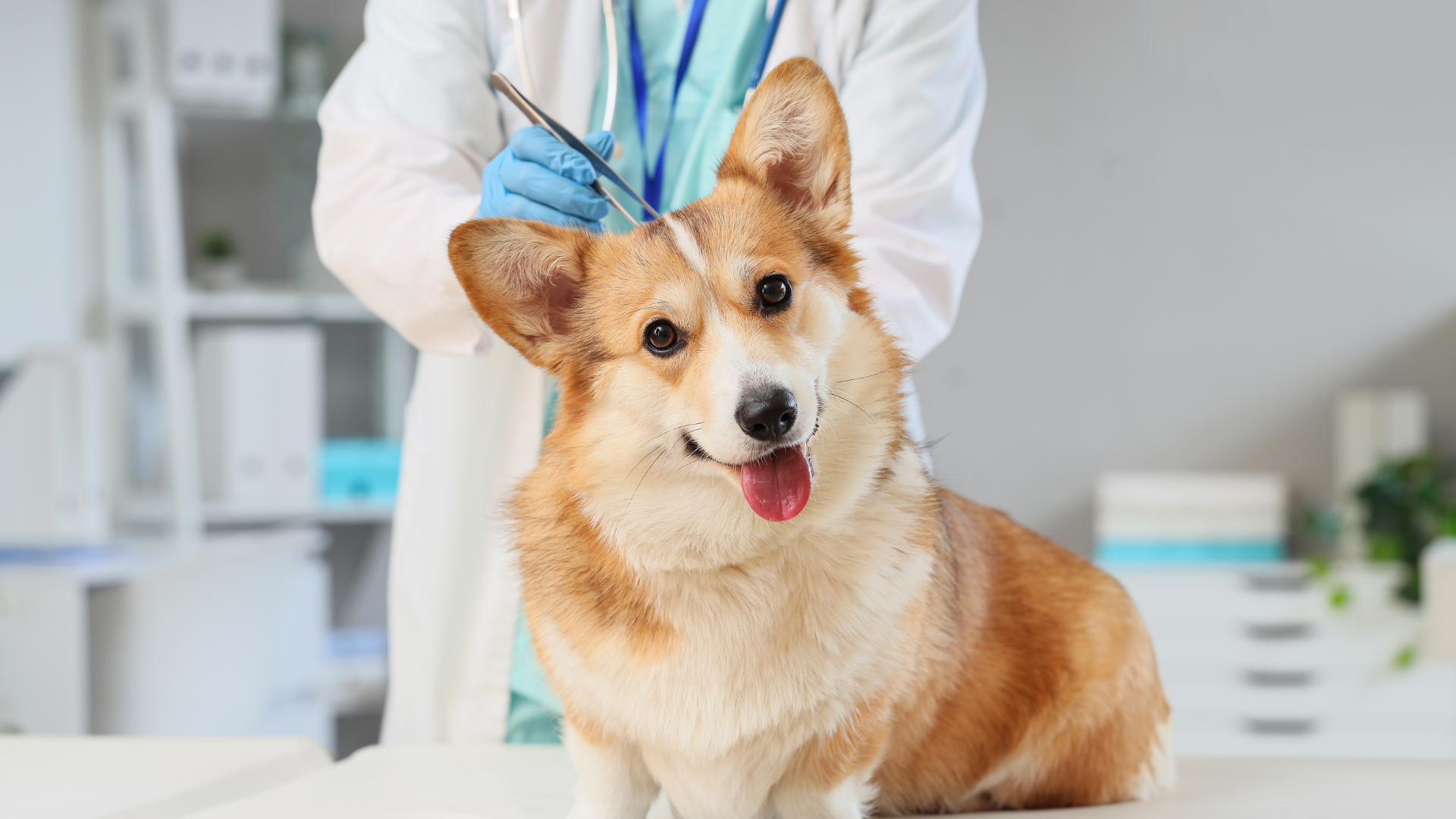 Interface do sistema 7